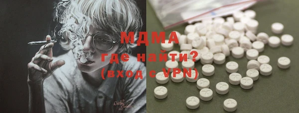 прущие грибы Инта