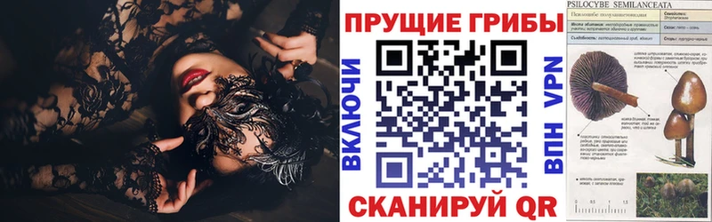 магазин    Выборг  Галлюциногенные грибы MAGIC MUSHROOMS 
