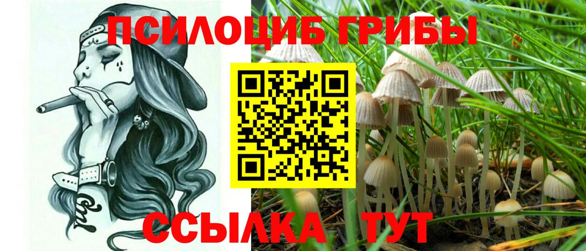 Выборг  Псилоцибиновые грибы прущие грибы  Вход с VPN 