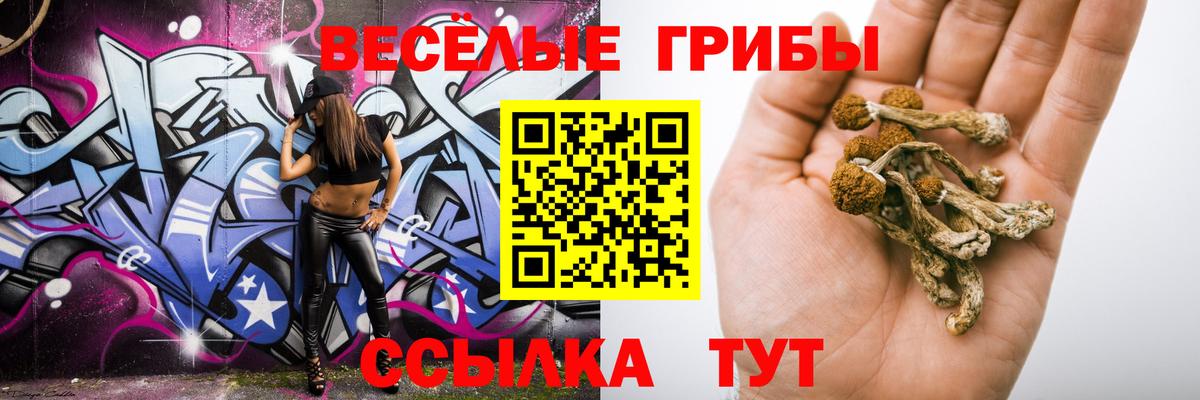 Галлюциногенные грибы MAGIC MUSHROOMS Выборг
